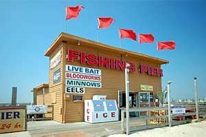 oceanic fishing pier|Fishing Reports.